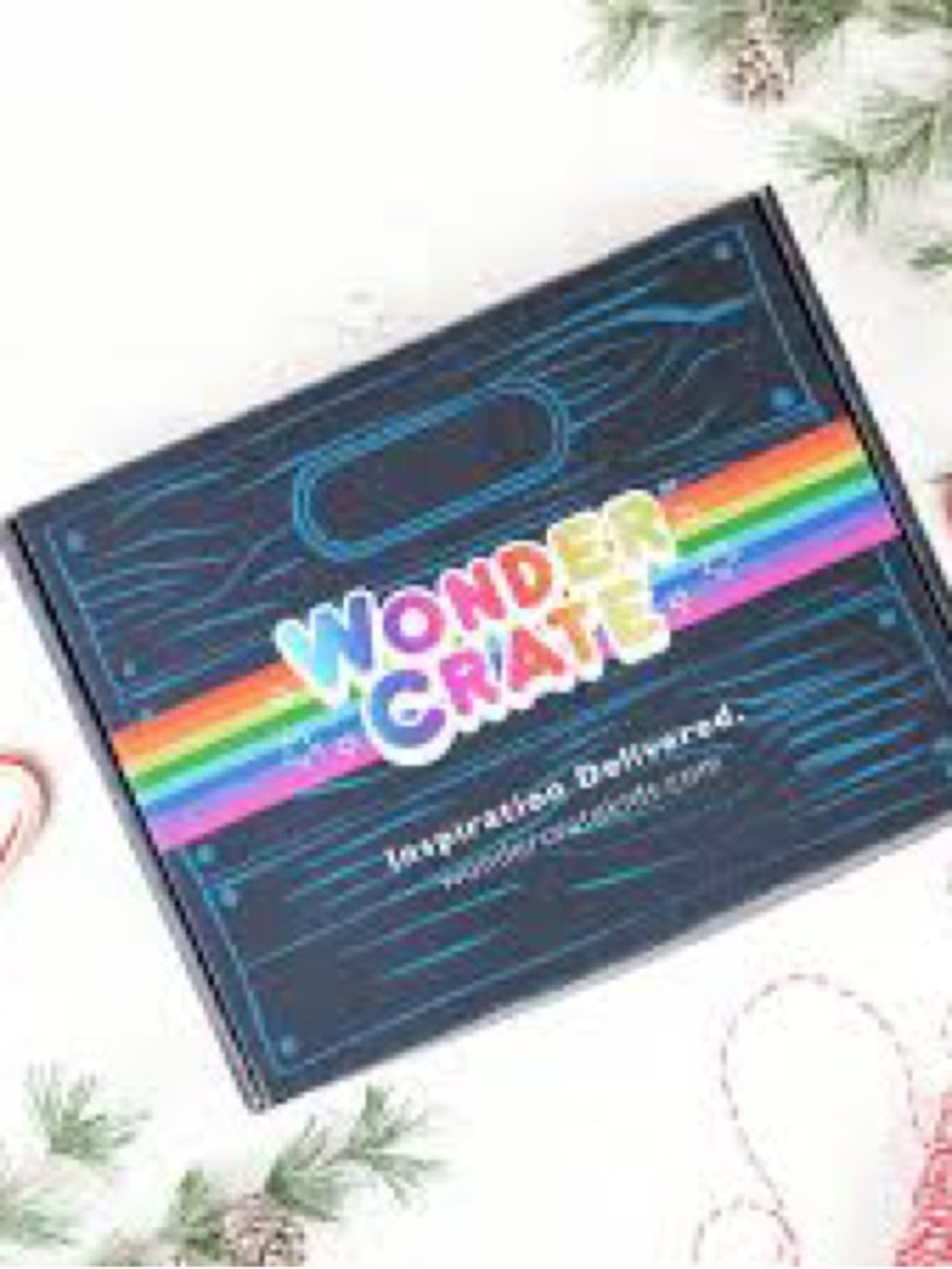 Wonder crate- Who is Houdini